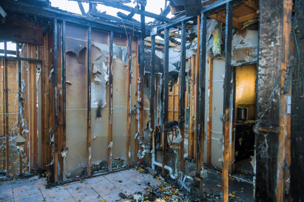 Professional Structural Rebuild technician working in Royal Pines, NC